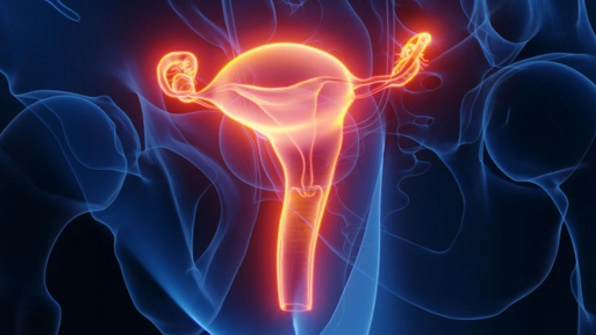 Proč britská prvorodička vděčí za své dítě neznámé dárkyni a sedmihodinové operaci