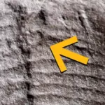 Proč diagnóza rakoviny mění slušné lidi v delikventy