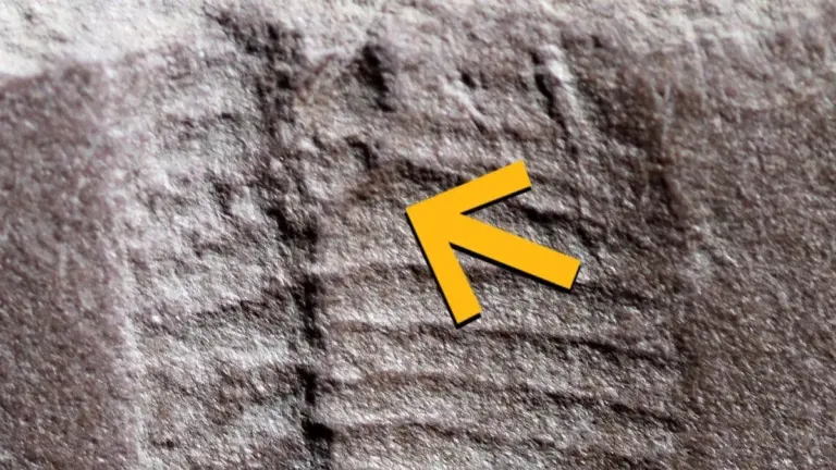 Proč diagnóza rakoviny mění slušné lidi v delikventy