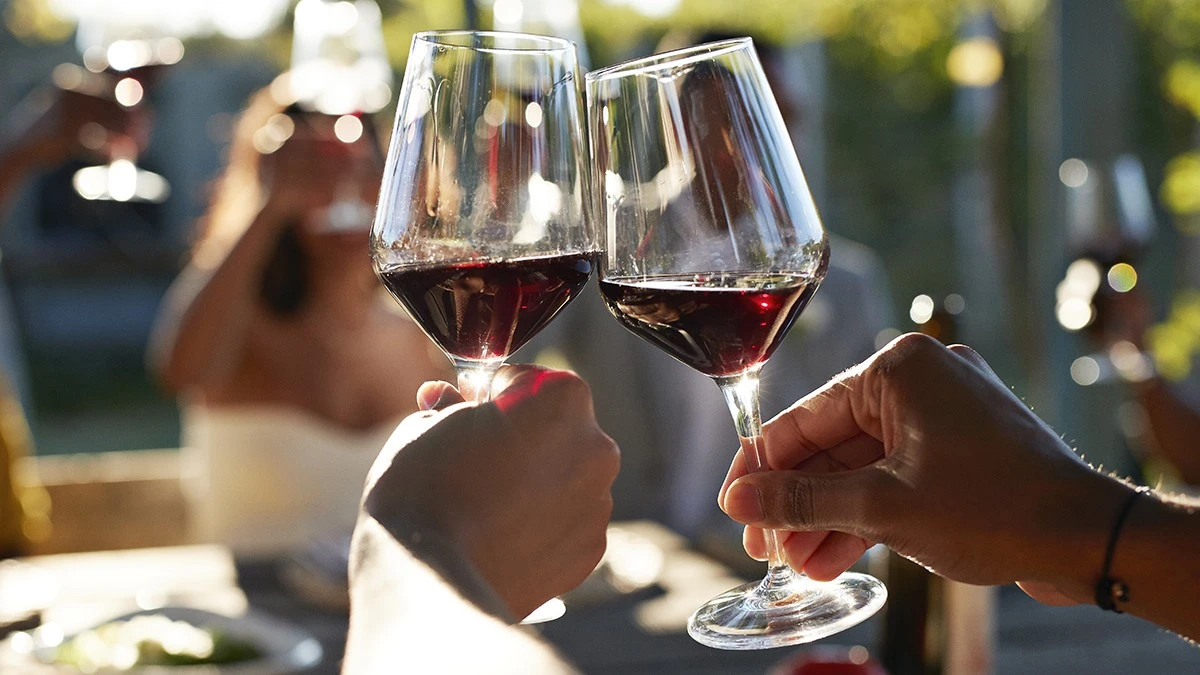 Proč se po skleničce vína cítíte jinak: Alkohol mění způsob, jakým spolu mluví části vašeho mozku