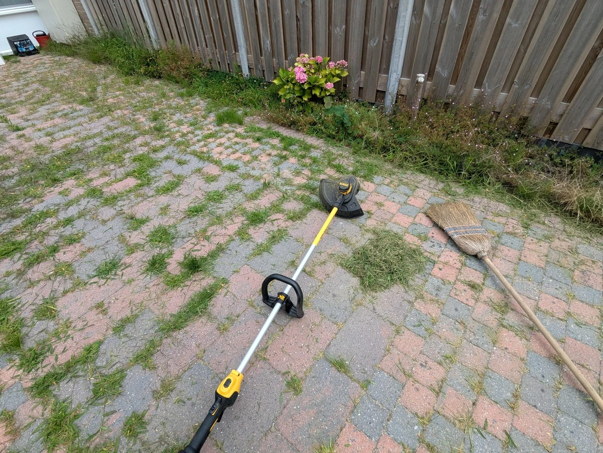 Proč zkušení čeští zahrádkáři letos raději používají ocelovou škrabku místo wapky - image 1