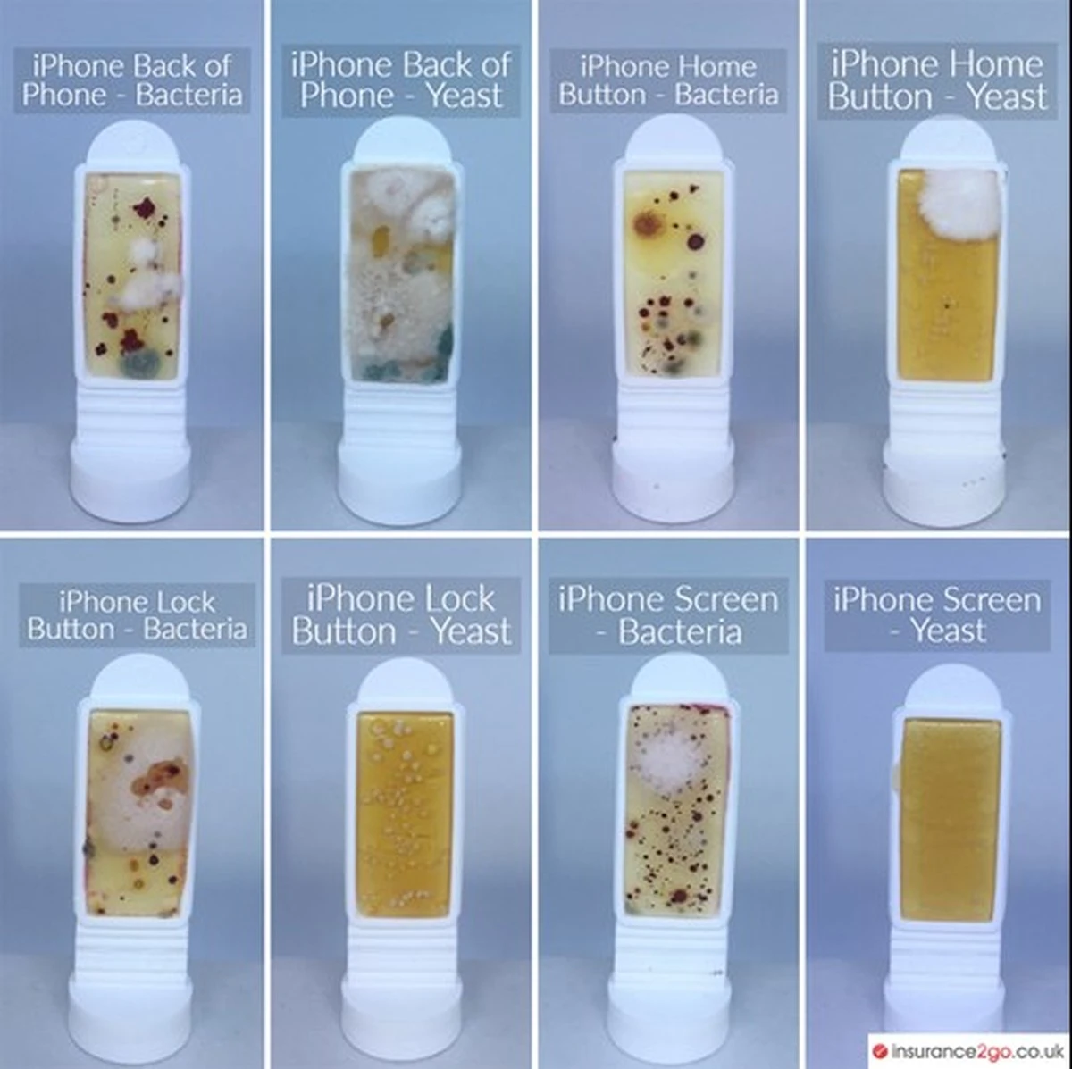 Proč zkušení hostitelé otírají dálkový ovladač mnohem častěji než toaletu - image 1