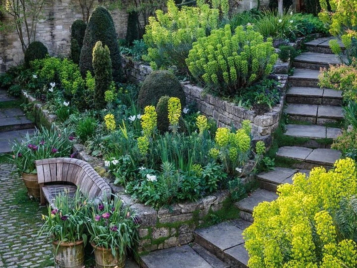 Proč zkušení zahradníci sází na svahy tyto konkrétní rostliny - image 1