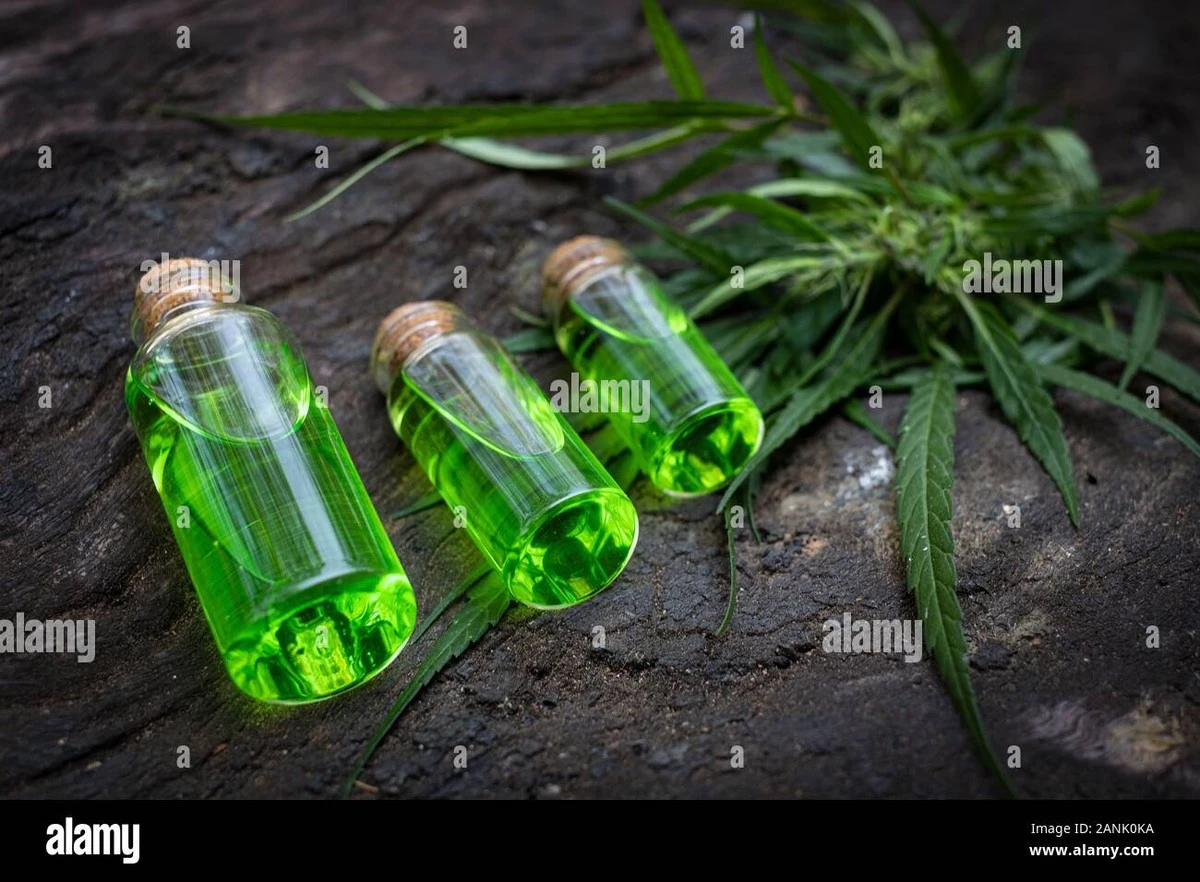 Důvod, proč konopí při úzkostech funguje spíše jako placebo - image 1