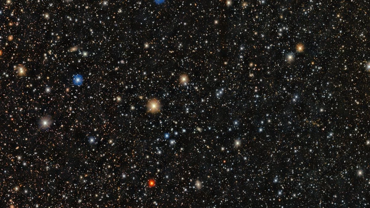 Proč astronomové sledují hvězdu PicII-503 s takovým napětím
