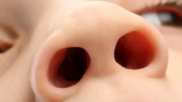 Proč dýcháte převážně jednou nosní dírkou a co to znamená