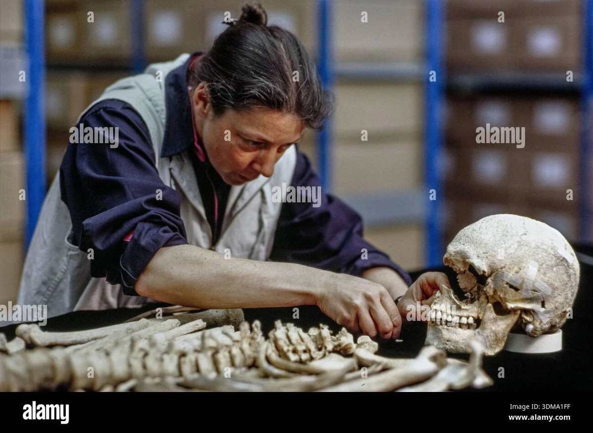 Proč experti z Harvardu zkoumají úlomek lebky s kódem I/10 - image 1