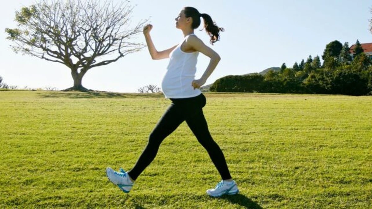 Proč lidské tělo nemenstruuje jako ostatní savci a jaká záhada se skrývá za naším porodem - image 1