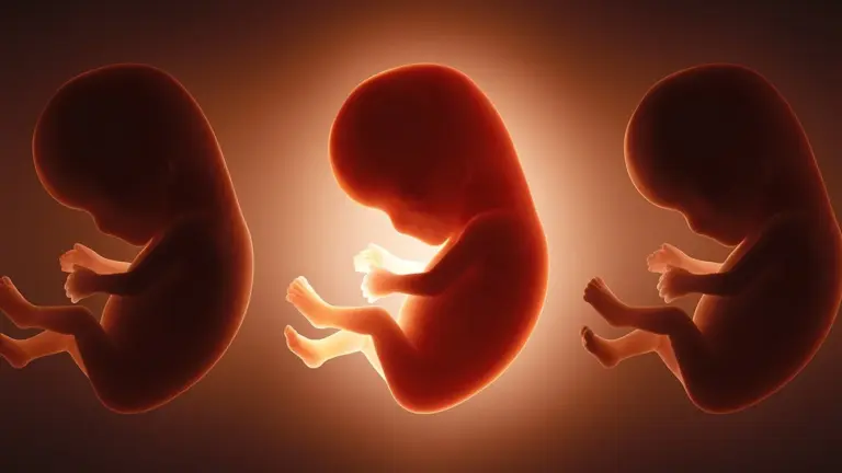 Proč mají novorozenci v těle 42 „věčných chemikálií“ ještě před narozením