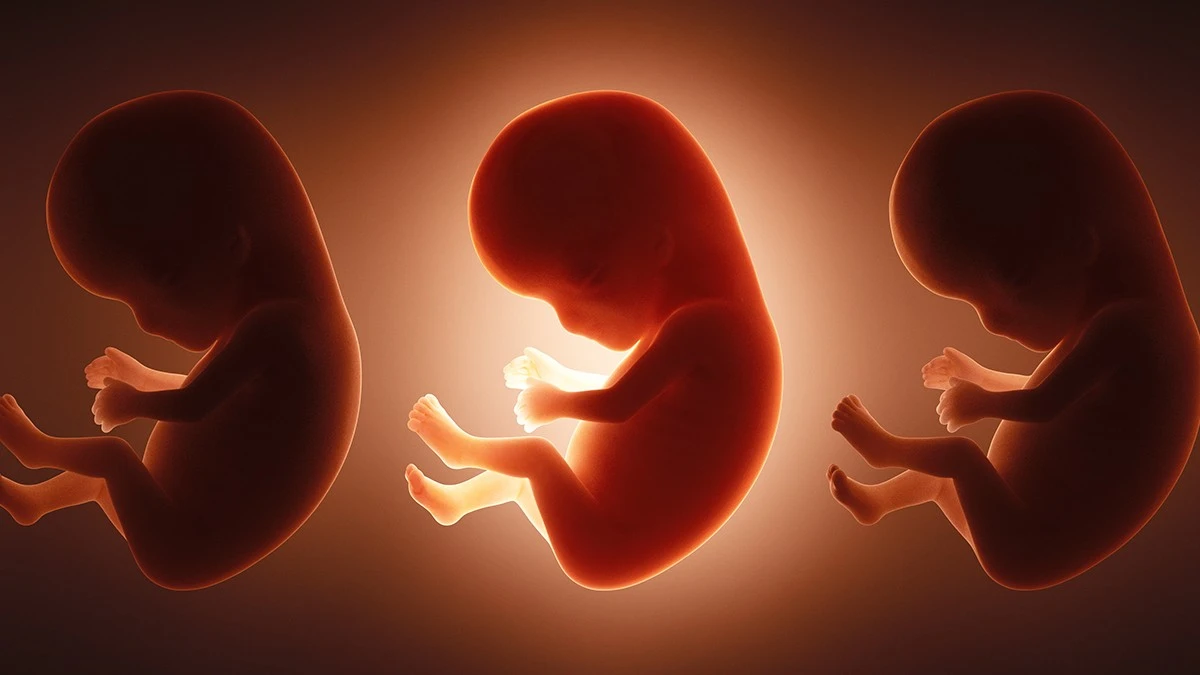 Proč mají novorozenci v těle 42 „věčných chemikálií“ ještě před narozením