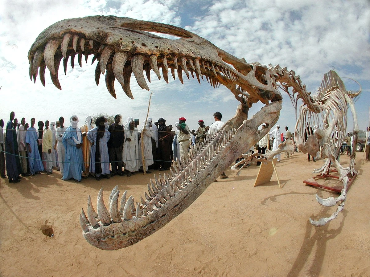 Proč měl slavný T-Rex mnohem staršího a obřího bratra - image 1