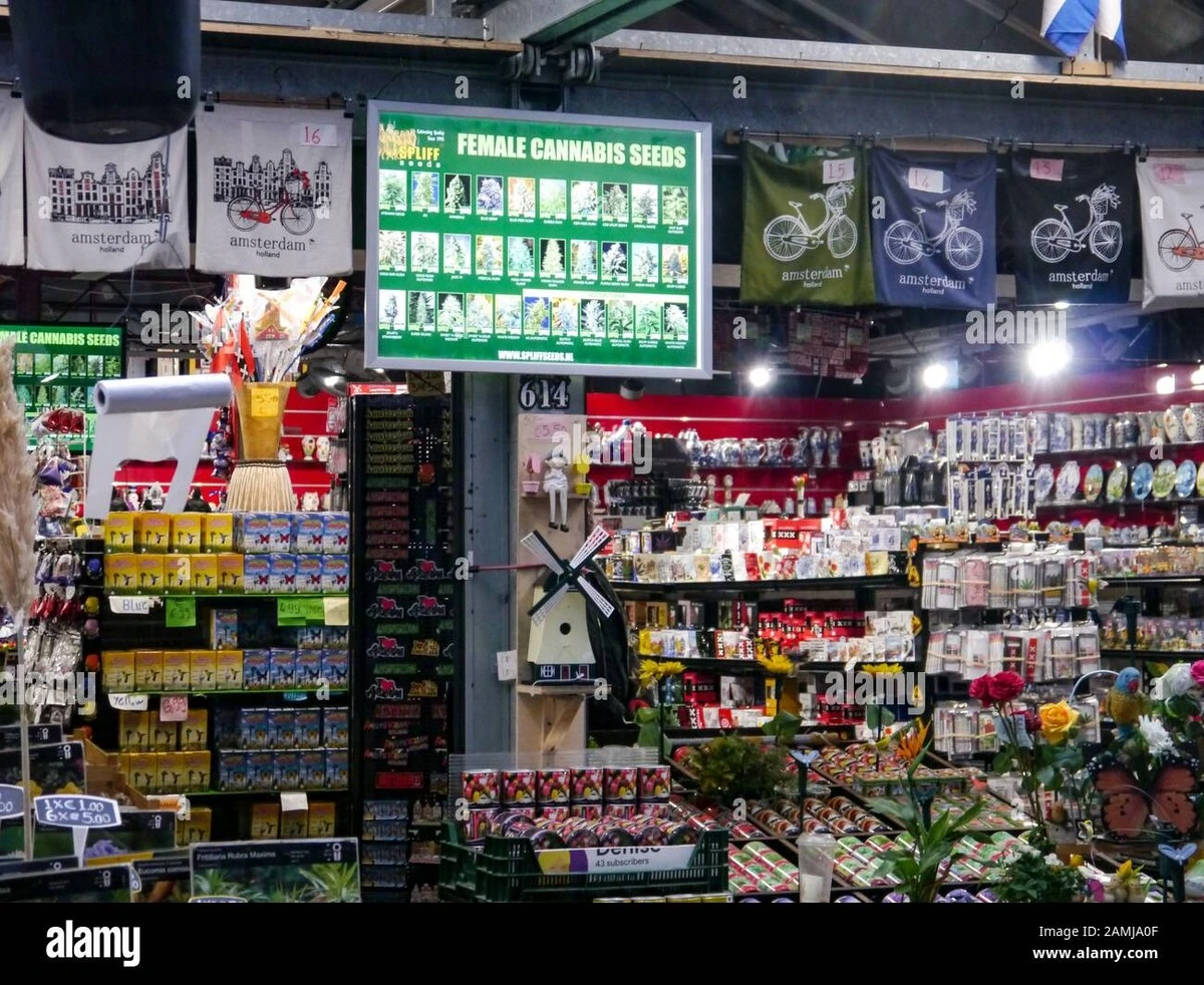 Proč německé řetězce začaly prodávat konopná semínka hned vedle petržele - image 1