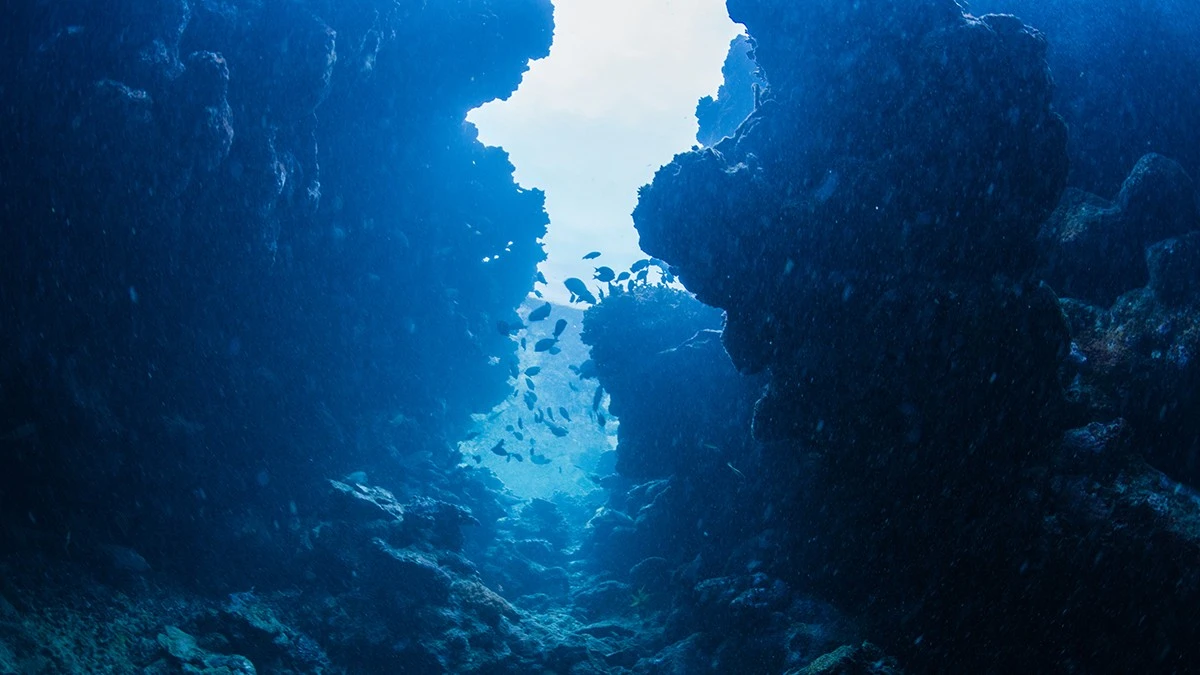 Proč se dno Atlantiku roztrhlo v délce 500 kilometrů