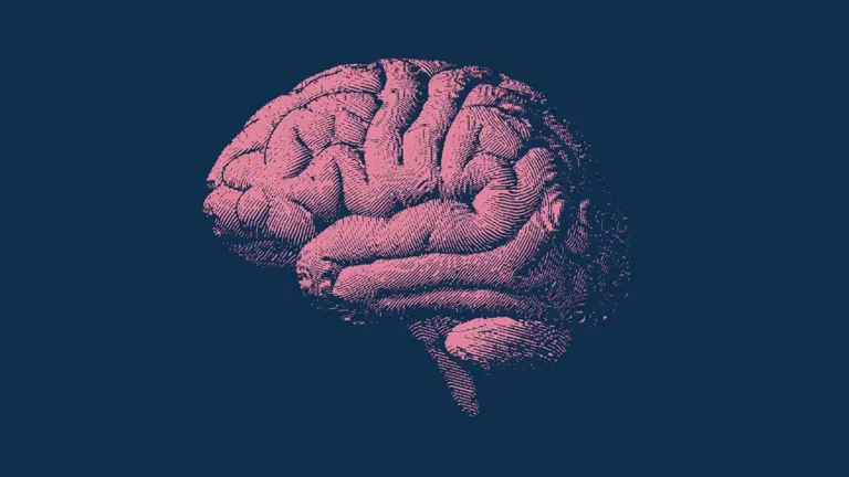 Proč se lidem s touto úpravou jídelníčku zmenšuje mozek pomaleji