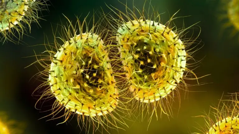 Proč se moderní vakcína vyhnula celé generaci studentů a jaké to má následky