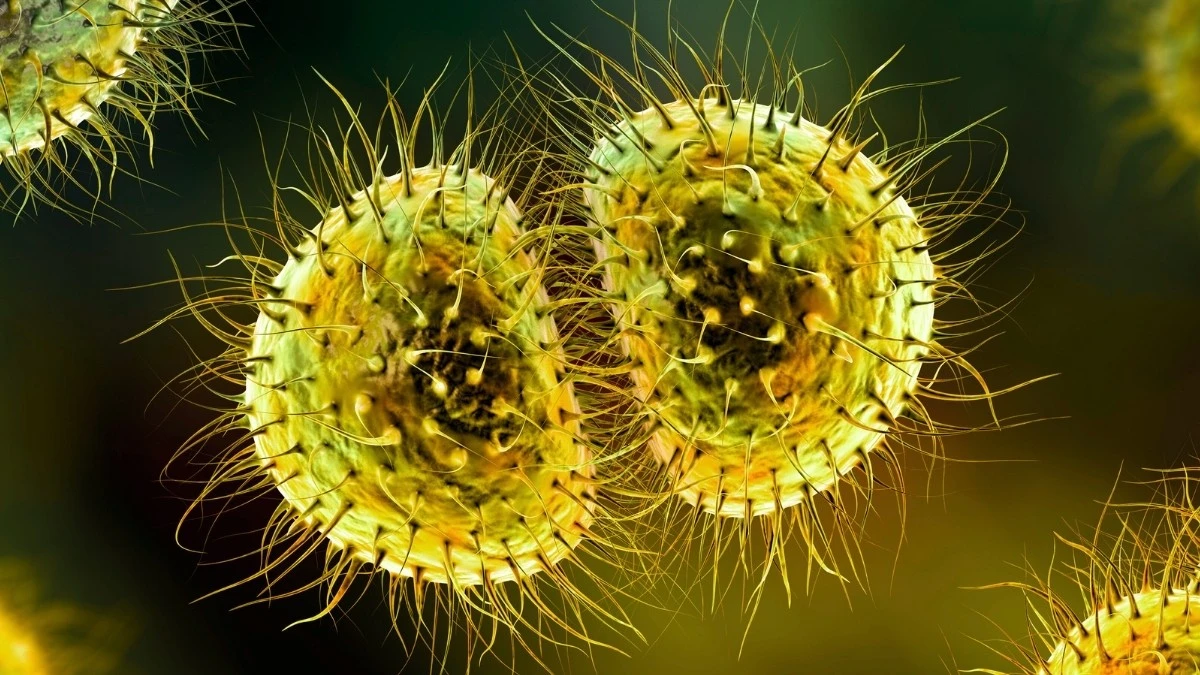 Proč se moderní vakcína vyhnula celé generaci studentů a jaké to má následky