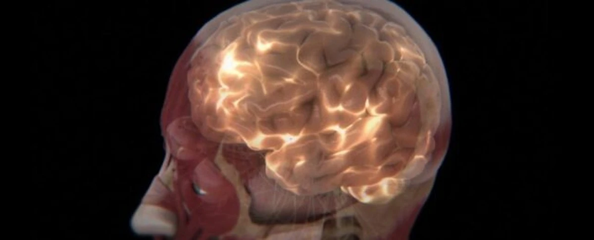 Proč se v lékárnách začíná mluvit o modrém doplňku pro mozek a ovesných vločkách - image 1