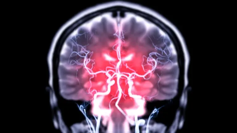 Proč se v mozku objevují střevní bakterie a jak to zastavit