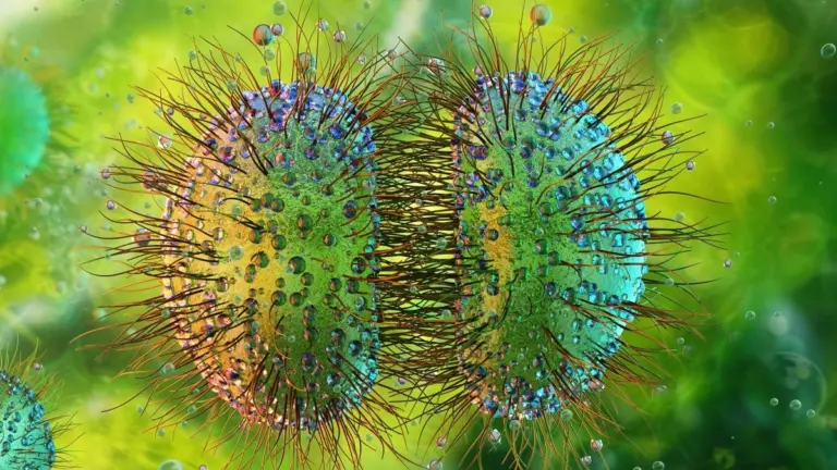 Proč se v nočních klubech častěji mluví o sdílení vapes a jedné konkrétní bakterii