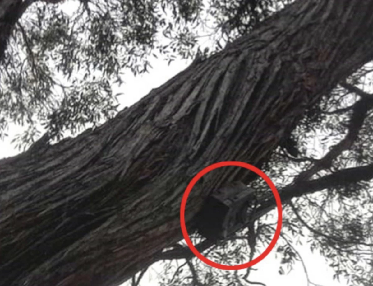 Proč se v USA na silnicích objevují nenápadné kužely, které ve skutečnosti nejsou z plastu - image 1