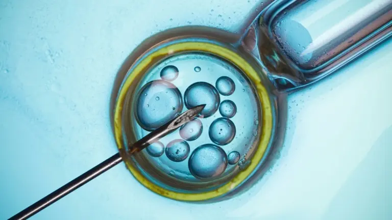 Proč se ženy po IVF nemusí bát rakoviny víc než ostatní