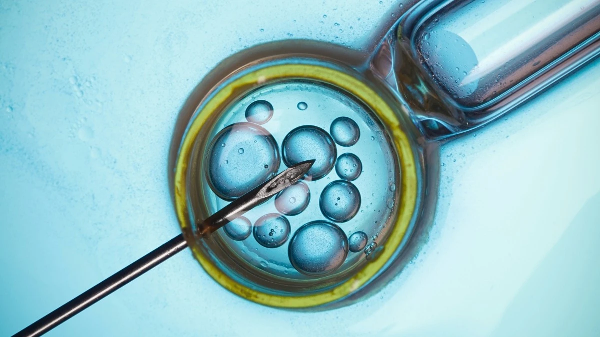 Proč se ženy po IVF nemusí bát rakoviny víc než ostatní