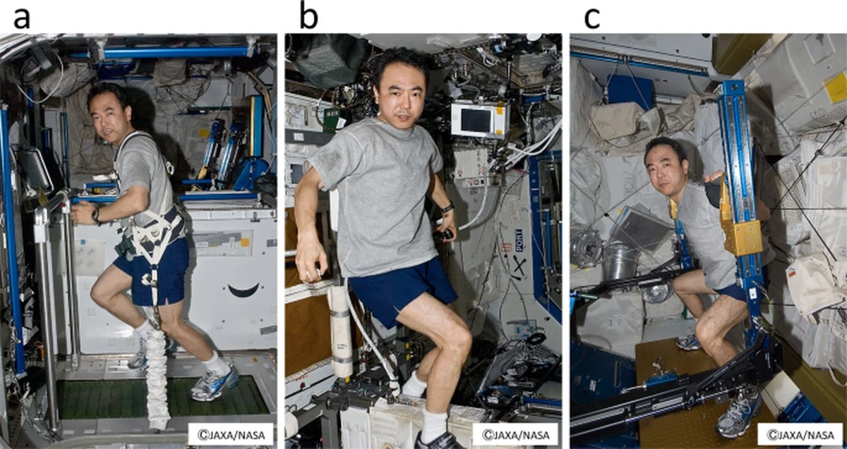 Proč svaly na Marsu chřadnou: Vědci našli kritickou hranici gravitace pro přežití člověka - image 1