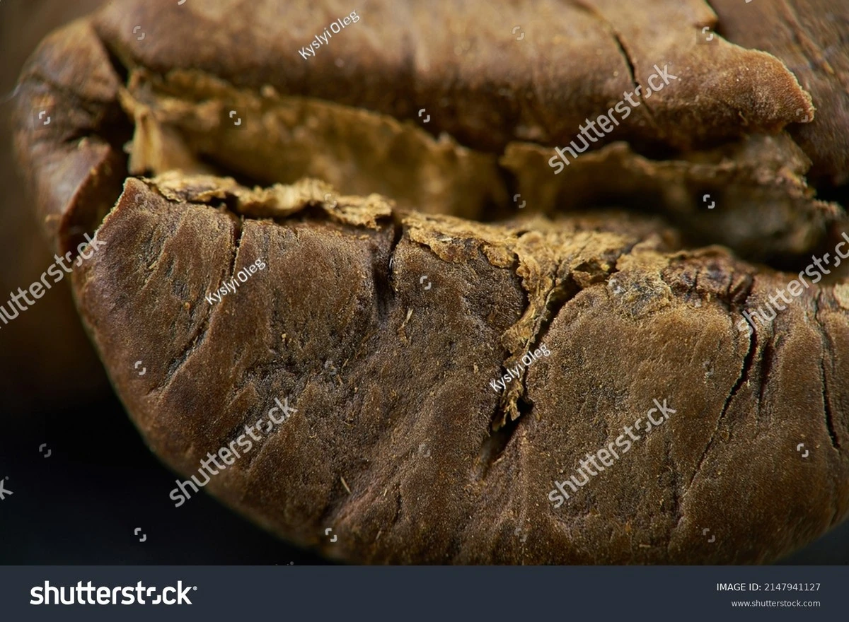 Proč váš mozek vyžaduje další sousto, i když už nemáte hlad - image 1