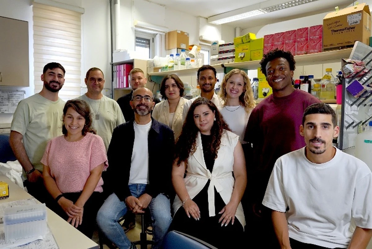 Proč vědci doporučují přidat složku z konopí do boje proti tučným játrům - image 1