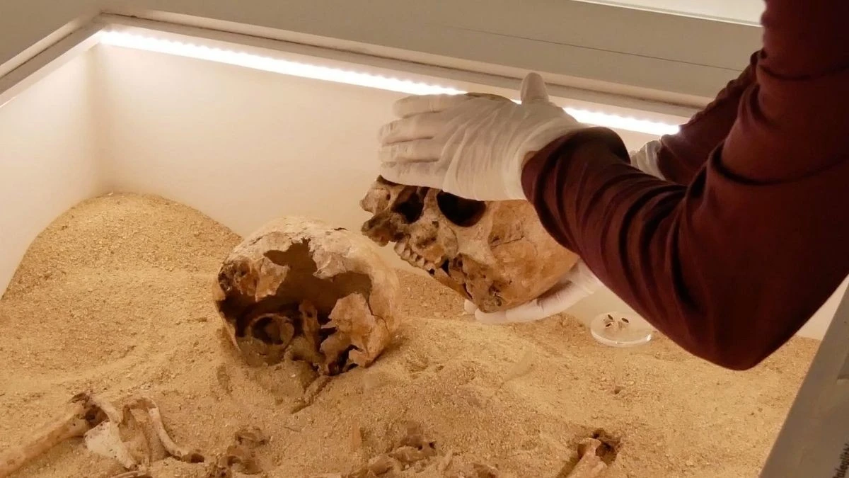 Proč vědci v objetí dvou koster z doby ledové našli vzácný gen skrytý 12 000 let