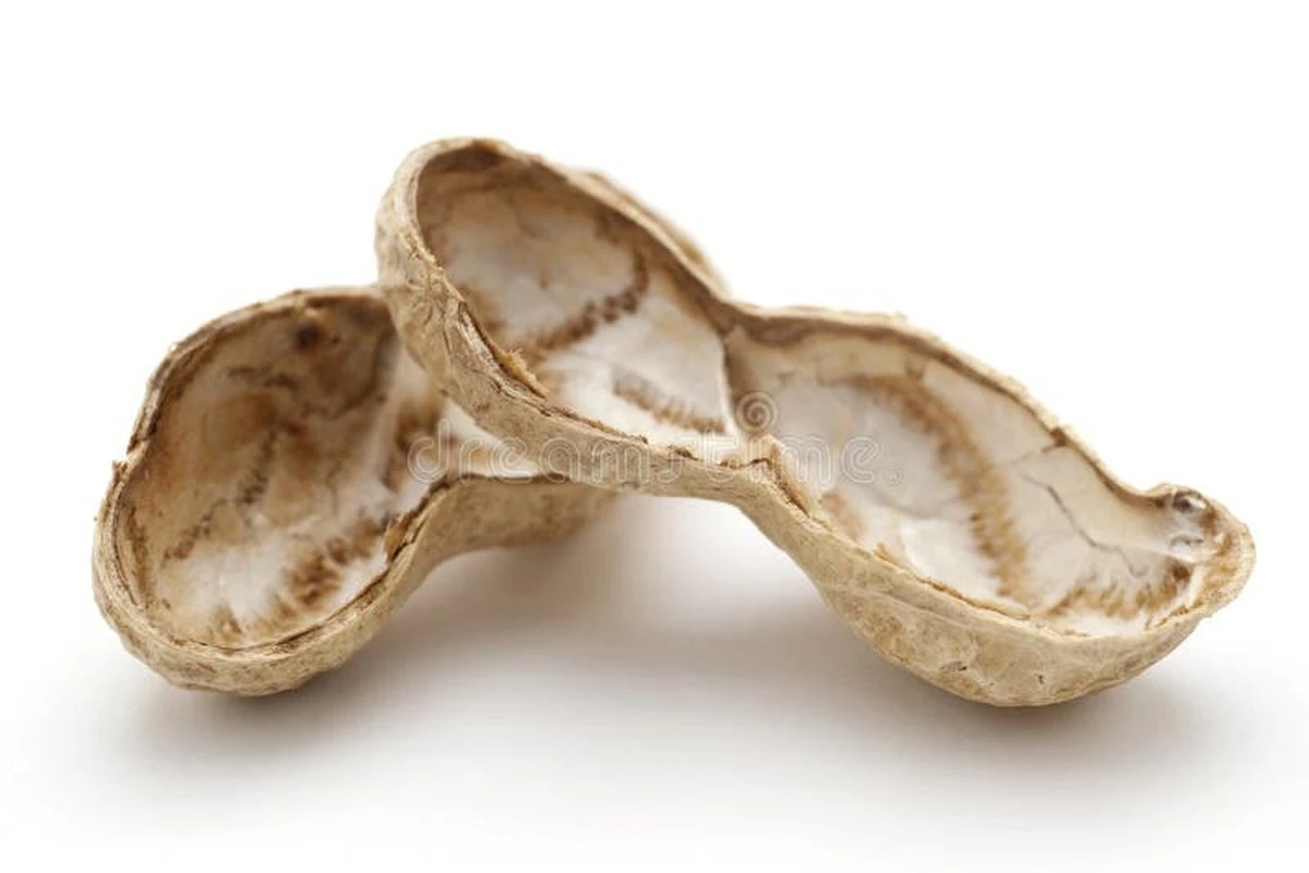 Proč vědci začali sbírat slupky od arašídů místo toho, aby je vyhodili - image 1