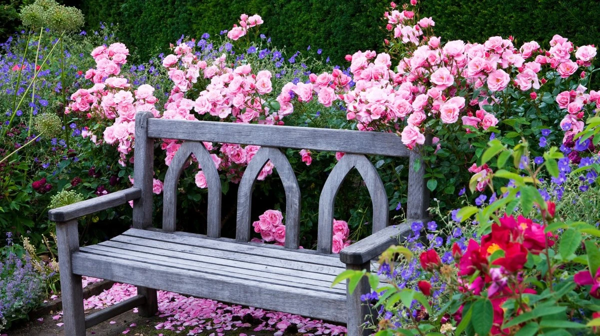 Proč z českých předzahrádek mizí štěrk a co je letos největším trendem