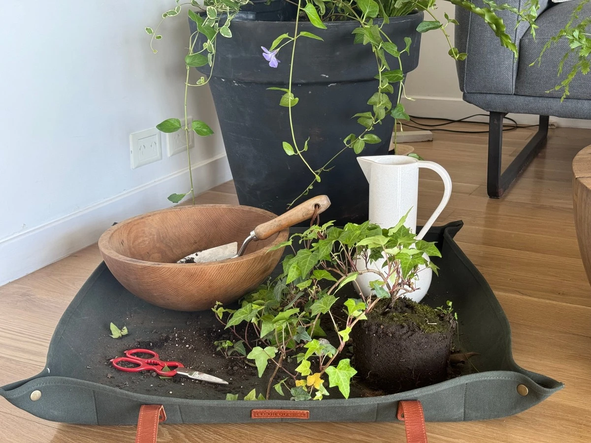 Proč zkušení čeští zahrádkáři dávají při přesazování na stůl tuhle skládací podložku - image 1