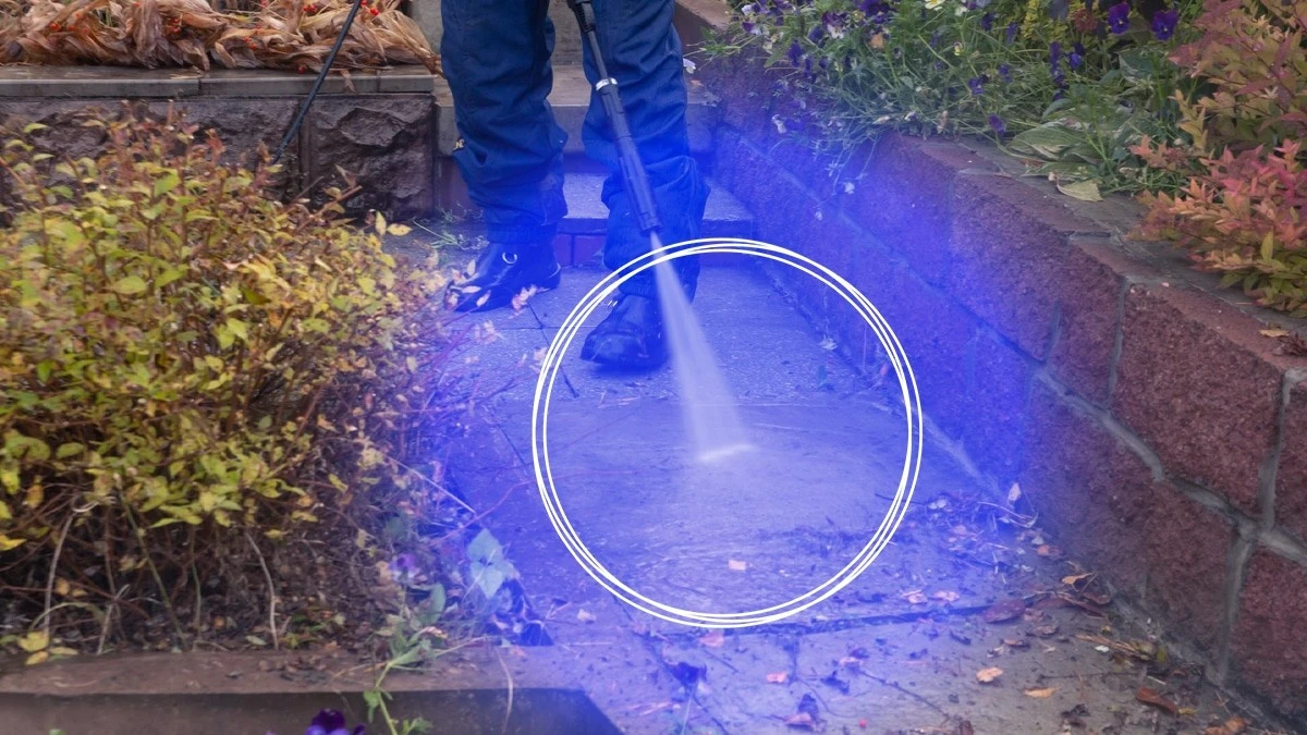 Proč zkušení čeští chalupáři lijí obyčejnou colu do spár s mechem - image 1