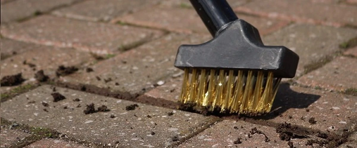 Proč zkušení čeští zahrádkáři strkají ocelovou škrabku do vánoc mezi dlaždice - image 1