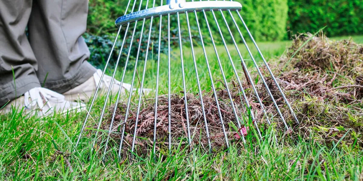 Proč zkušení čeští zahrádkáři vytahují vertikutátor až po druhém sečení - image 1