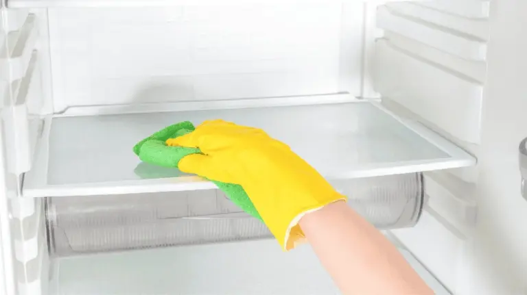 Proč zkušení hostitelé čistí v lednici vždy jen jednu polici