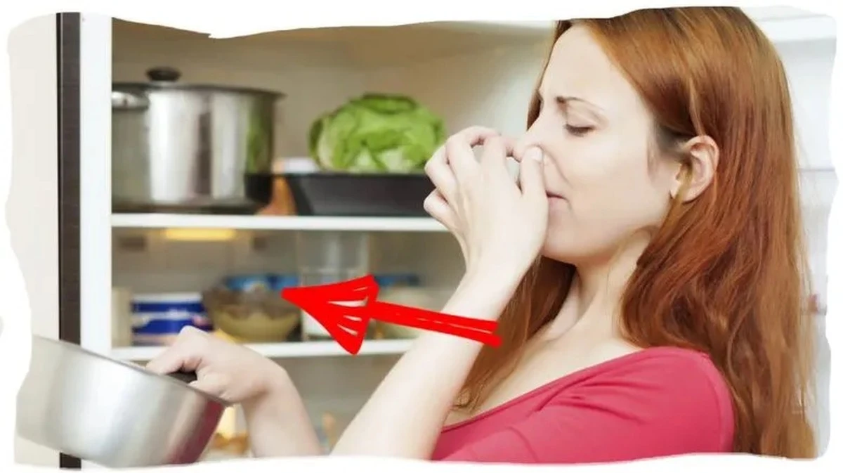 Proč zkušení hostitelé dávají misku s aktivním uhlím do lednice