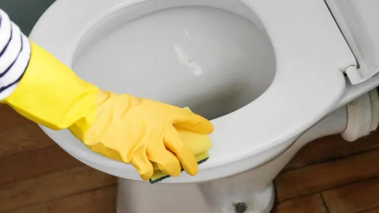 Proč zkušení hostitelé potírají záchodové prkénko polovinou citronu