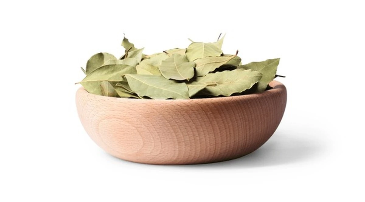 Proč zkušení hostitelé věší kousek starých silonek vedle toalety - image 1