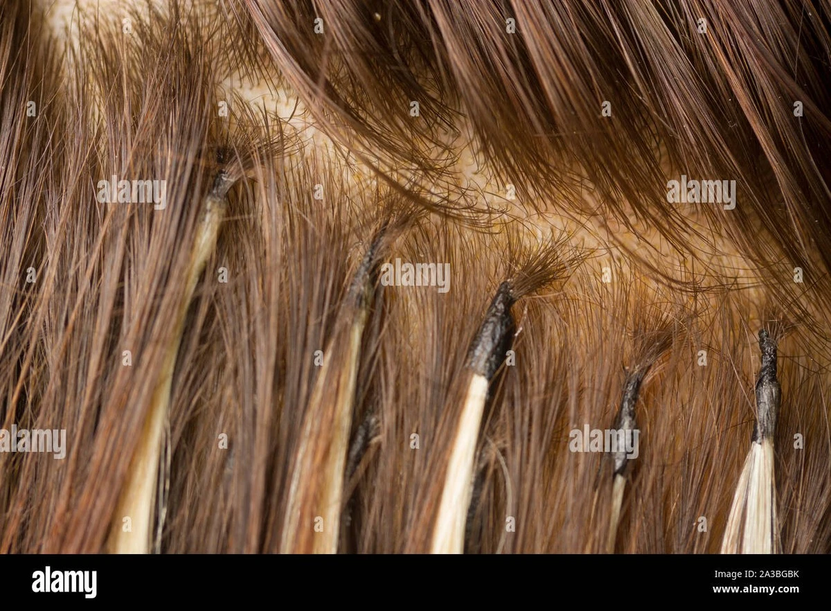 Proč zkušení kadeřníci varují před nošením levných příčesků vlasů - image 1