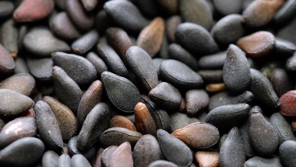 Proč zkušení kuchaři začali dávat přednost černému sezamu před tím bílým - image 1