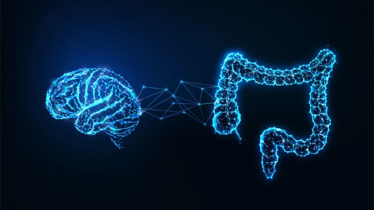 Proč zkušení lékaři začínají léčit paměť přes střeva místo mozku