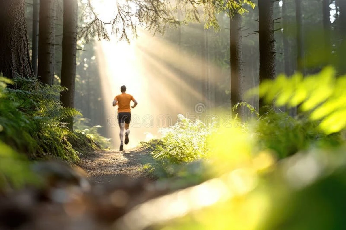 Proč zkušení lékaři doporučují chůzi jako ochranu před rozpadem paměti - image 1