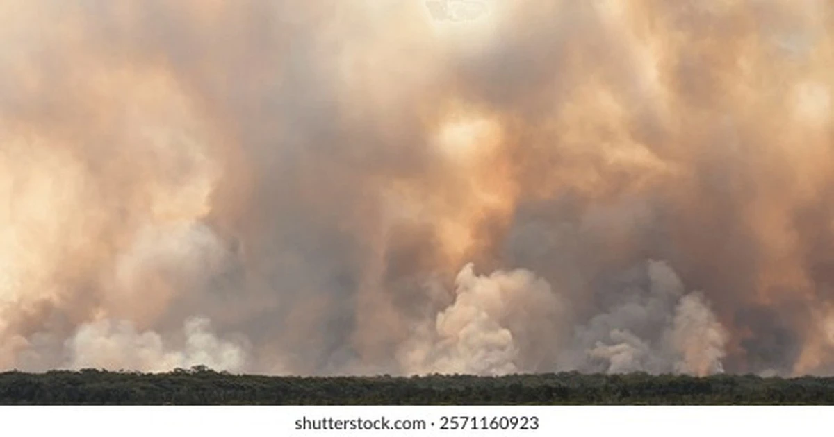 Proč zkušení lékaři při mírném oparu venku okamžitě zavírají všechna okna - image 1