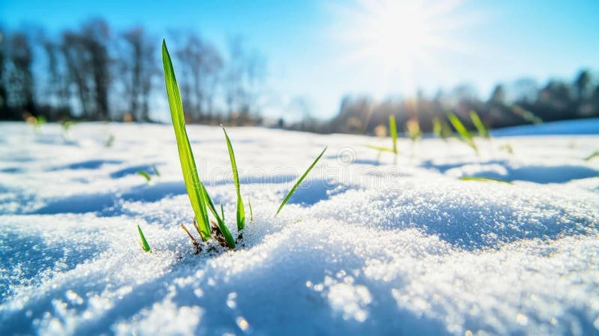 Proč zkušení meteorologové sledují anticyklon Konrad: Sníh zmizí během pár dnů - image 1