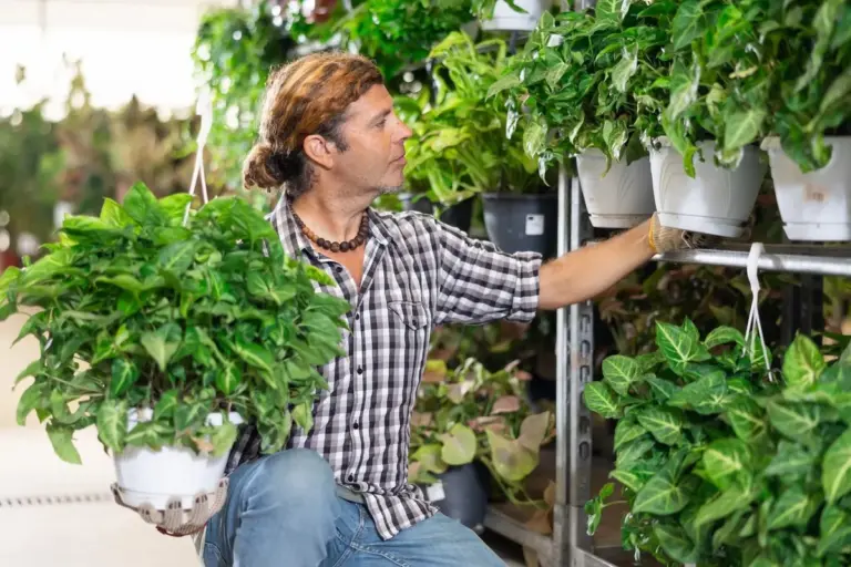 Proč zkušení pěstitelé v supermarketu rostliny nekupují