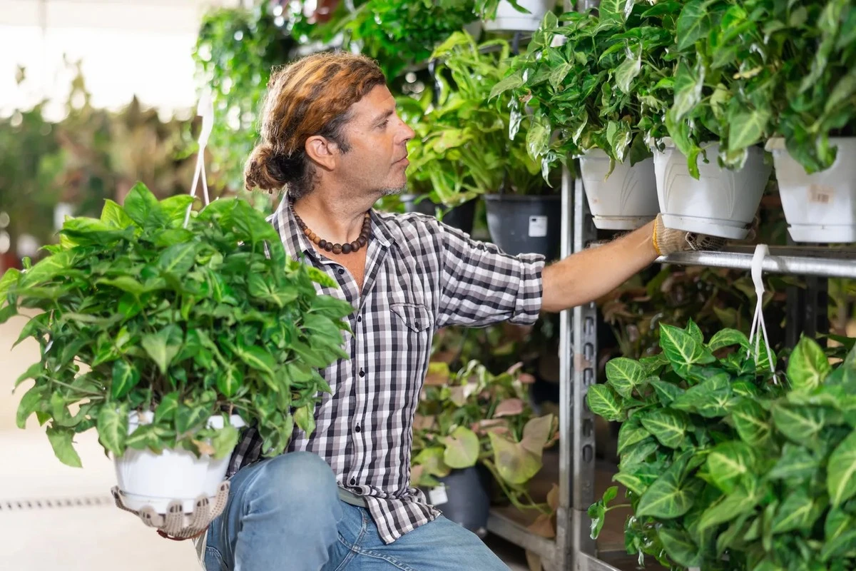 Proč zkušení pěstitelé v supermarketu rostliny nekupují