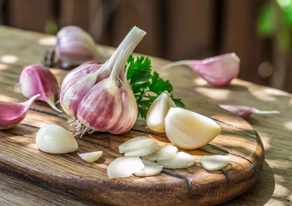 Proč zkušení zahrádkáři přidávají do vody na česnek síran hořečnatý