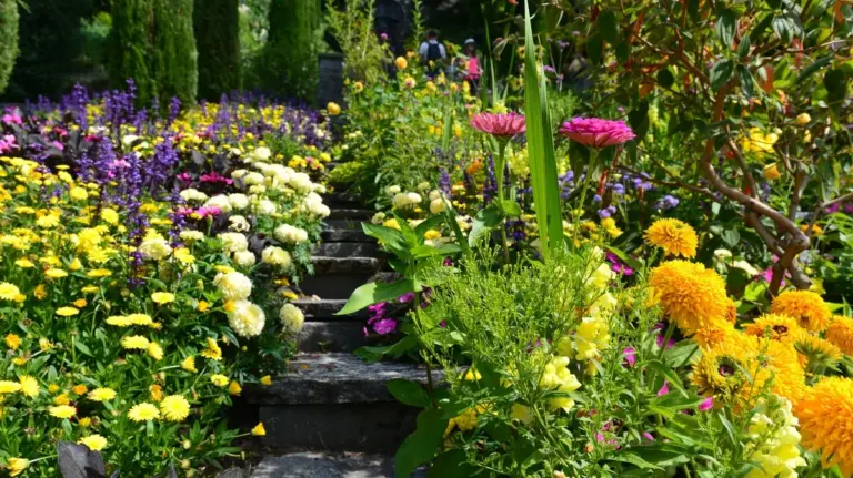 Proč zkušení zahrádkáři v červenci radikálně stříhají tyto trvalky